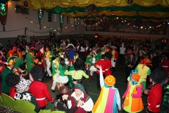 rosenmontag-abend_12_20150328_1787212478