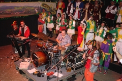 rosenmontag-abend_13_20150328_1502323248
