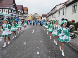 65. Viernauer Karneval